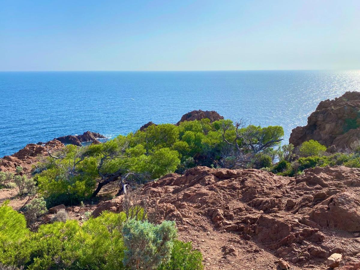 Port-frejus, Le Consul, 2 Pieces Climatise, Terrasse & Parking * Fréjus