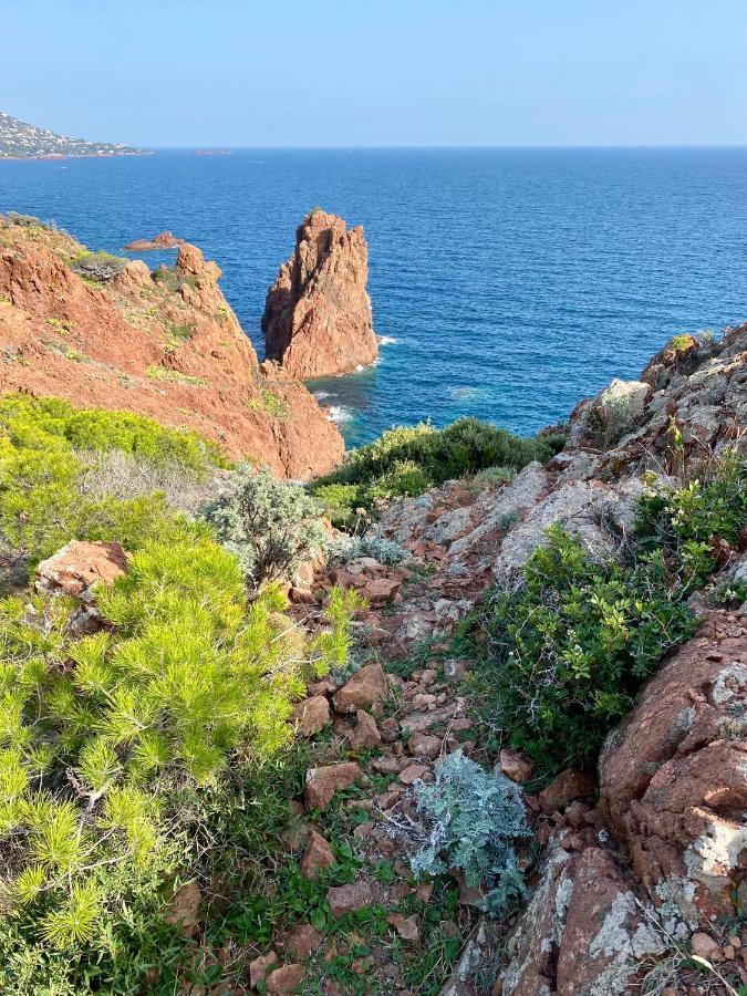 Appartamento Port-frejus, Le Consul, 2 Pieces Climatise, Terrasse & Parking *