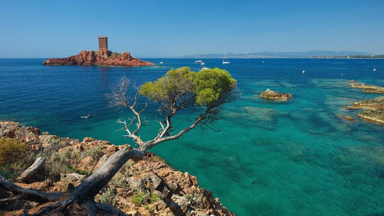 Port-frejus, Le Consul, 2 Pieces Climatise, Terrasse & Parking Appartamento *