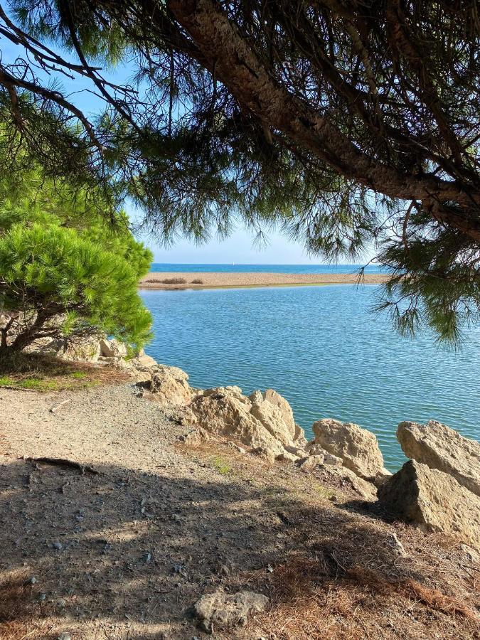 Port-frejus, Le Consul, 2 Pieces Climatise, Terrasse & Parking Appartamento