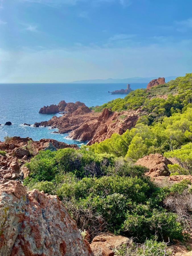 Apartment Port-frejus, Le Consul, 2 Pieces Climatise, Terrasse & Parking Frejus
