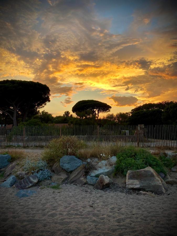 Port-frejus, Le Consul, 2 Pieces Climatise, Terrasse & Parking