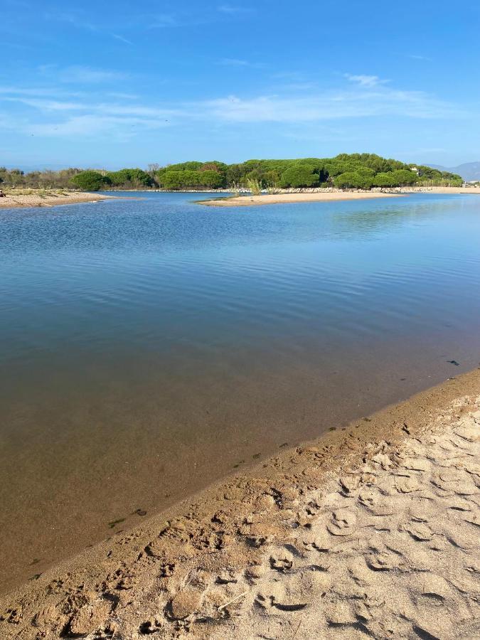 Port-frejus, Le Consul, 2 Pieces Climatise, Terrasse & Parking Apartment