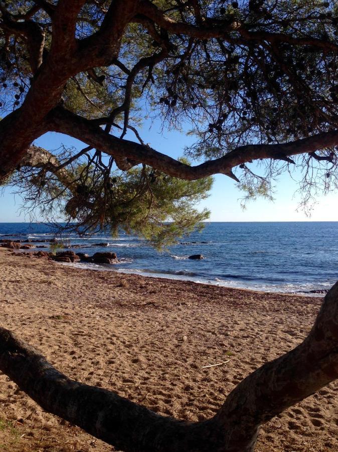 Apartment Port-frejus, Le Consul, 2 Pieces Climatise, Terrasse & Parking